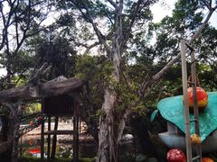 -深圳野生动物园