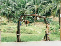 -王权免税店(普吉市区店)