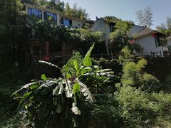 -泽雅七瀑涧景区