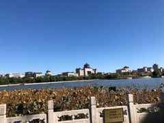 -莲花池公园