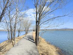 -野鸭湖国家湿地公园