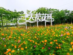 -广东花都香草世界旅游度假区