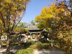 -迎泽公园