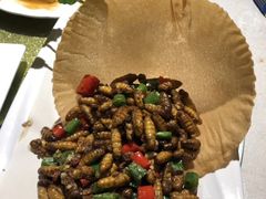 -陶缘一号·四季缘·老字号顺德菜·户外婚礼家宴(西滘店)