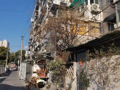 -老太皮肚面