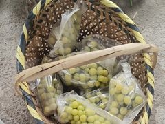 -马陆小张葡萄园农家乐