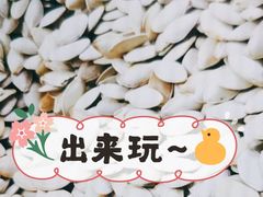 瓜子-何庄子阿米玛玛农产品批发市场