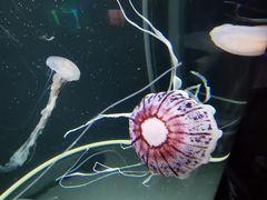 -成都浩海立方海洋公园