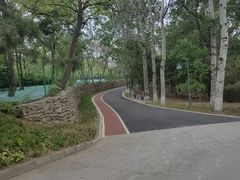 -云岗森林公园