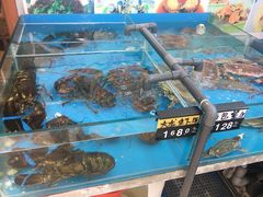 水产区-日照大牌檔•小船海鲜(万平口店)
