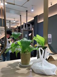 -苑苑vbeauty科技美容SPA