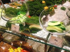 -壹号港湾