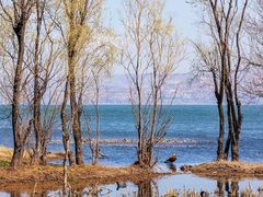 -洱海月湿地公园