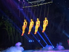 -灵玲国际马戏城
