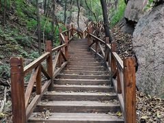 -大岭沟猕猴桃谷风景区