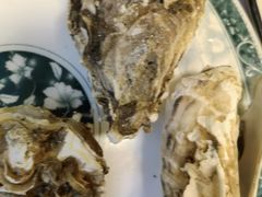 -宾朋海鲜饭庄(兴海路店)