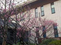 -嘉兴清池酒店温泉