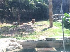 -深圳野生动物园