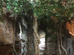 -阿斯牛牛·凉山菜(新会展店)