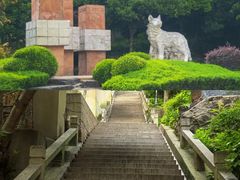 -狼山风景名胜区