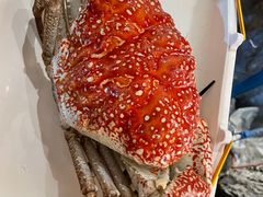 皇帝蟹-耕海蟹将军(万象城店)
