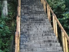 -云碧峰国家森林公园