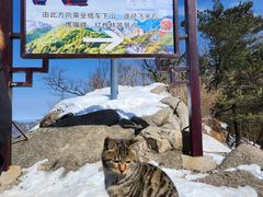 -洛阳白云山景区