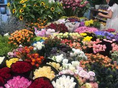 -双季花艺园艺市场(浦东店)