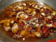 水煮鱼-正兴蜀园(科技园区店)