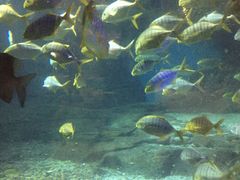 -波塞冬旅游度假区