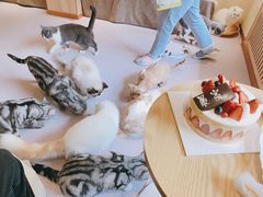-猫和宫(六道口店)