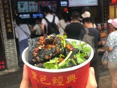 -黑色经典臭豆腐·湖南特产(步行街店)