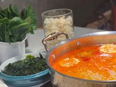 -椰子湾·海南火锅·糟粕醋·椰子鸡(正大广场店)