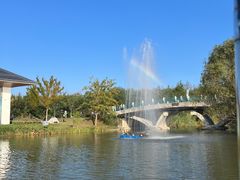 -上海长兴岛郊野公园