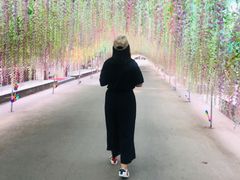 -尚庄度假村·庭台树下·户外烧烤·团建CS·轰趴营地(上庄水库店)
