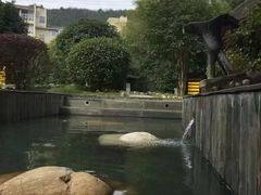 -咸宁太乙国际温泉度假村
