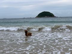 -西涌国际滨海旅游区