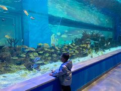 -常州海昌海洋探索馆