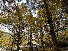 -大泽山风景名胜区