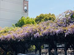 -双拥公园