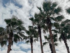 -太平洋咖啡(海天驿站店)