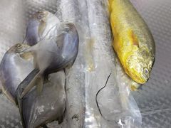 -盒马鲜生(领丰汇店)