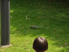 -苏州河梦清园环保主题公园