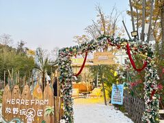 -HERRE·FARM 赫尔露营农场·团建聚会包场