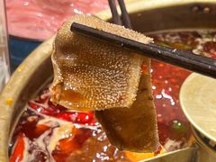 -巴奴毛肚火锅概念餐厅