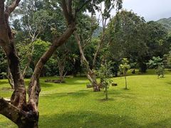 -深圳仙湖植物园