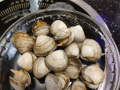 -鲜鲜·鲅鱼圈海鲜(于洪店)