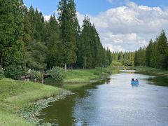 -黄海国家森林公园