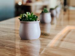 -舟山希尔顿酒店