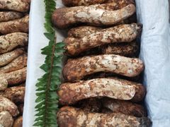 -云南木水花野生菌交易中心